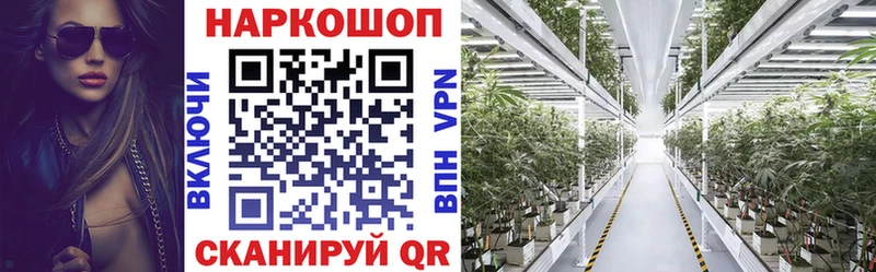 Купить закладку Пустошка Амфетамин  Галлюциногенные грибы  ГАШ  Экстази  Мефедрон 