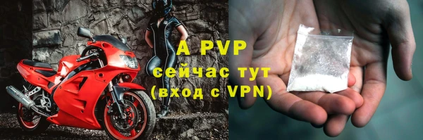 шишки Киров
